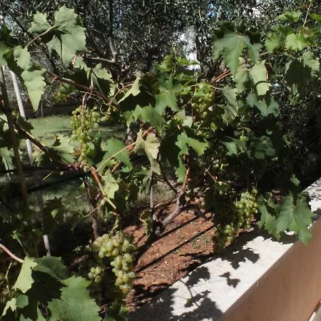 100m2, Full Opremljen, Privatni Parking.