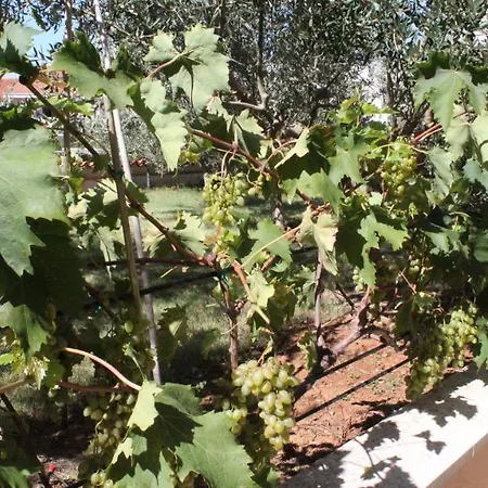 100m2, Full Opremljen, Privatni Parking. Appartamento Pola