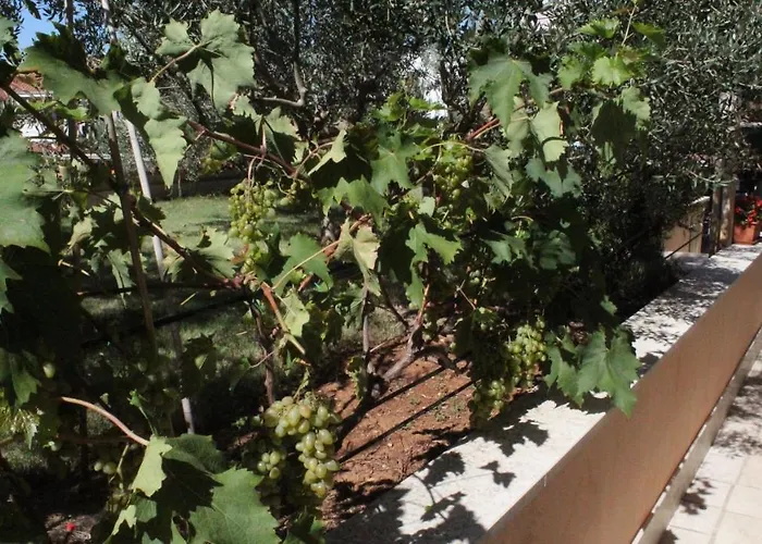 100m2, Full Opremljen, Privatni Parking.